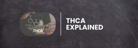 What is THCA? Blog Post THCA Explained NYC Glass 718