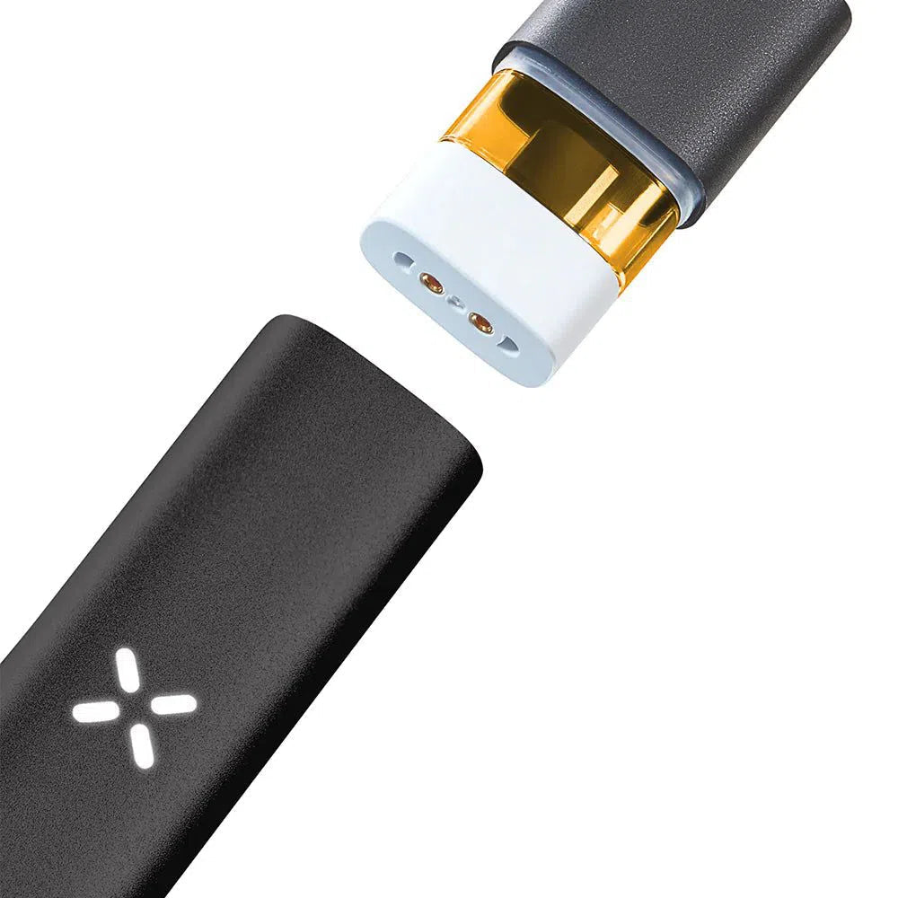 PAX Era Pro Black-Pax-NYC Glass