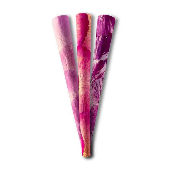 Zig Zag King Size Rose Cones - 8pk Box-Zig Zag-NYC Glass