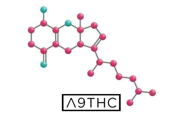 What Is Delta 9: Exploring the Basics of This Cannabis Compound-NYC Glass