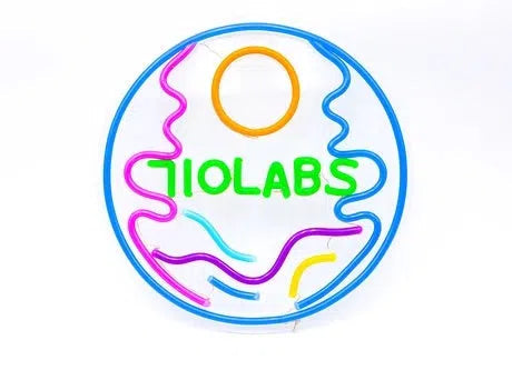 710 Labs Neon Signs - LIMITED EDITION-710 Labs-SUNSET LED-NEON-NYC Glass