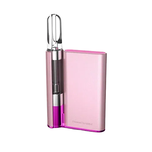 Hamilton Devices CCELL® Palm 510 Battery-Hamilton Devices CCELL-Rose Gold w/ Pink Frame-NYC Glass