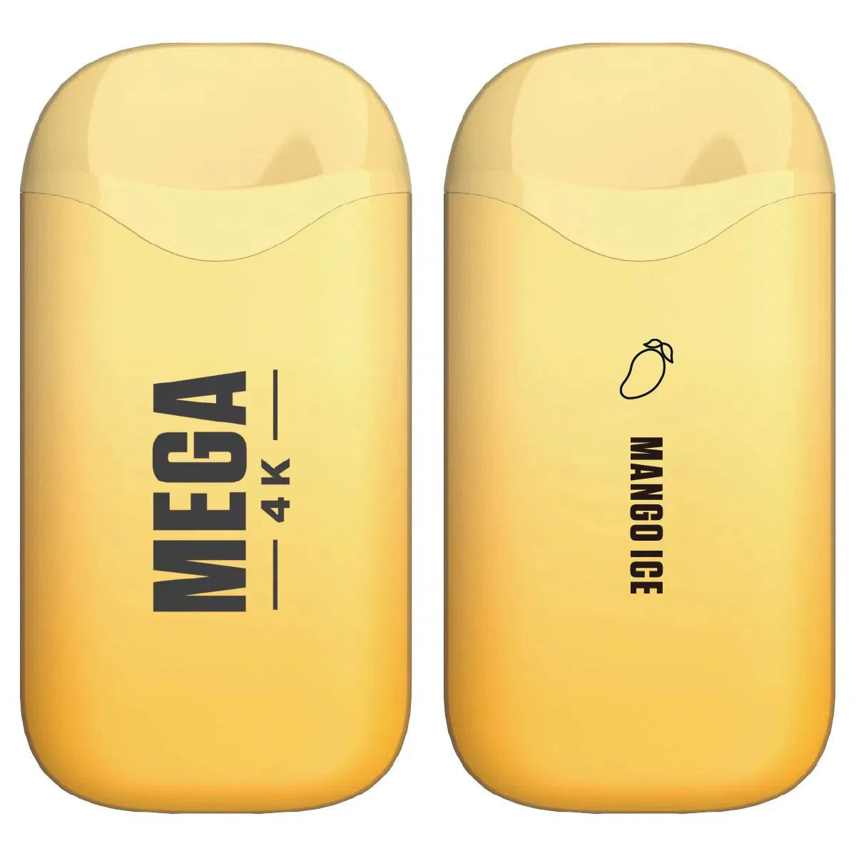 Mega 4K Rechargeable Disposable 5% 4000 Puffs 10pk-2023 Blowout Sale-Mega-NYC Glass