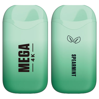 Mega 4K Rechargeable Disposable 5% 4000 Puffs 10pk-2023 Blowout Sale-Mega-Double Mint (Spearmint) 5%-NYC Glass