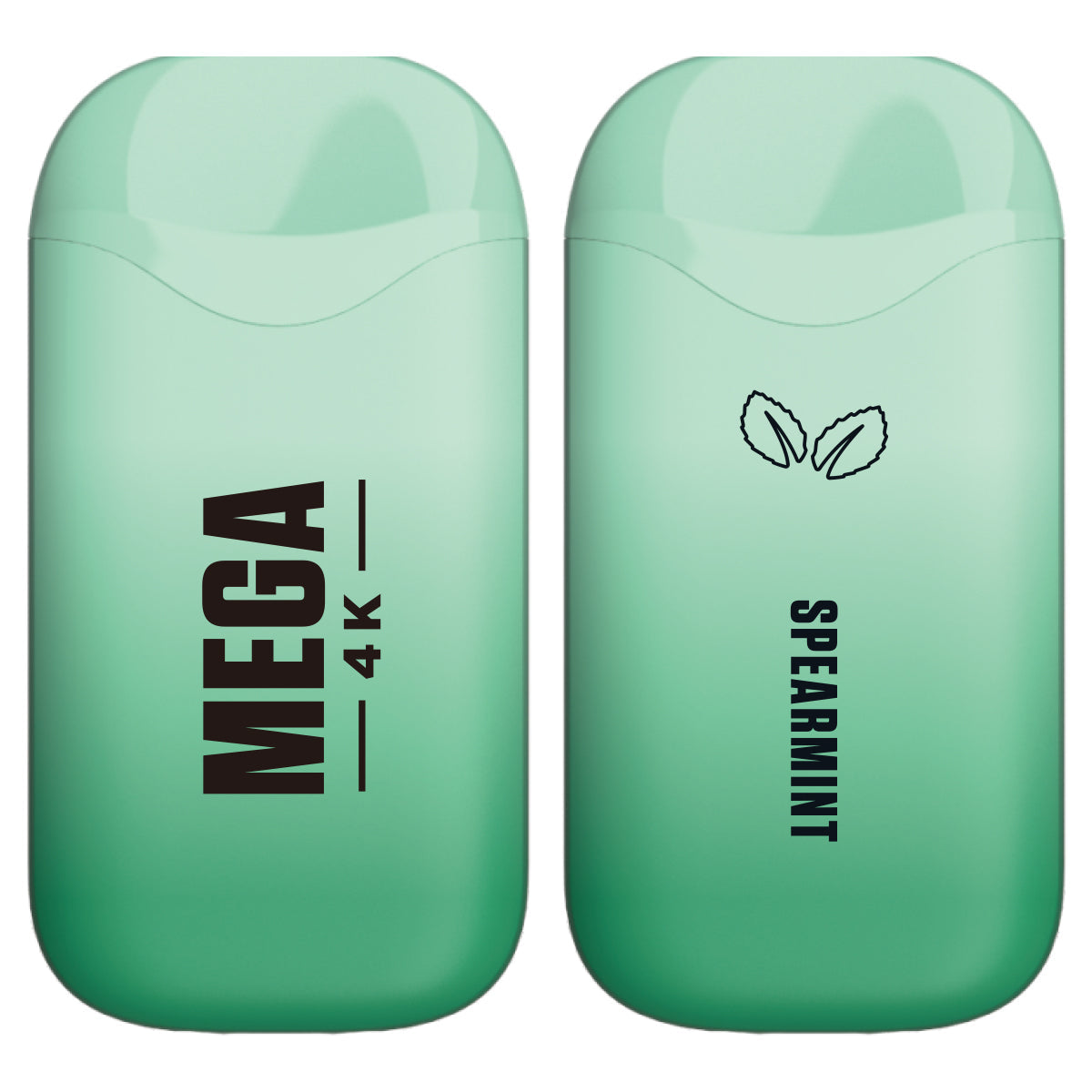 Mega 4K Rechargeable Disposable 5% 4000 Puffs 10pk-Mega-Double Mint (Spearmint) 5%-NYC Glass