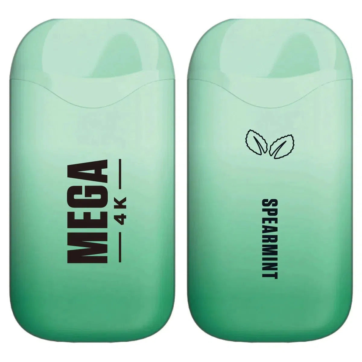 Mega 4K Rechargeable Disposable 5% 4000 Puffs 10pk-Mega-NYC Glass