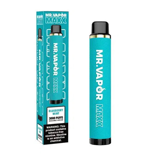 Mr. Vapor Maxx Disposable - 5% 3000 Puffs Nicotine Disposable-Mr. Vapor-Blueberry Mint-NYC Glass