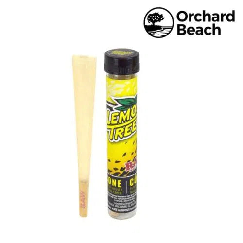 RAW x Orchard Beach | Lemon Tree Terpene Infused Pre-Rolled Cone | King Size 12pk-RAW-NYC Glass