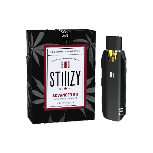 STIIIZY BIIIG Battery-Stiiizy-Black-NYC Glass