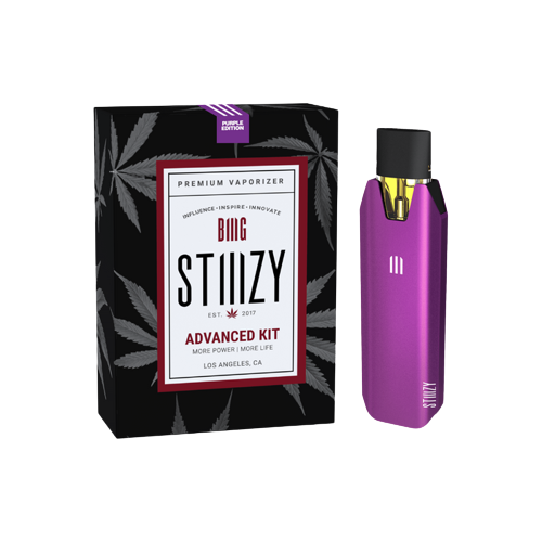 STIIIZY BIIIG Battery-Stiiizy-Purple-NYC Glass