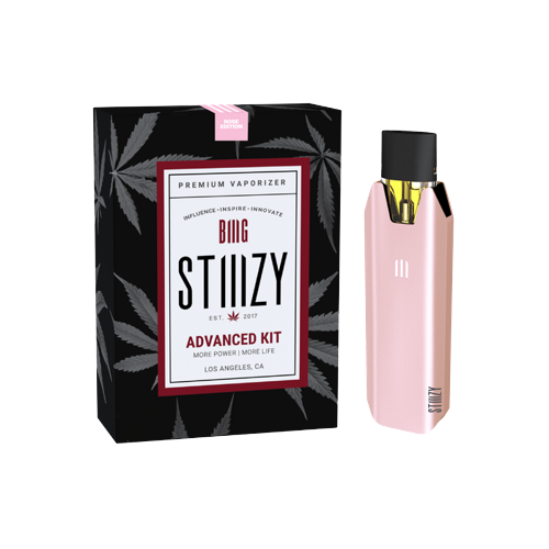 stiiizy vape battery STIIIZY BIIIG Battery – NYC GLASS 718