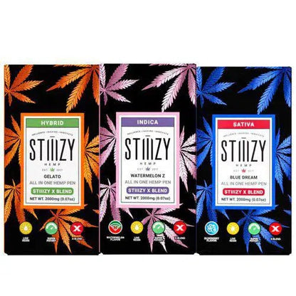 STIIIZY X Blend 2g Disposable-Stiiizy-NYC Glass