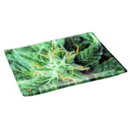 V Syndicate Shatterproof Glass Rolling Tray-V Syndicate-Cosmic Chronic-NYC Glass