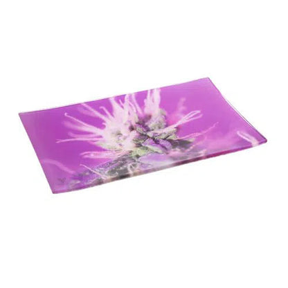 V Syndicate Shatterproof Glass Rolling Tray-V Syndicate-NYC Glass